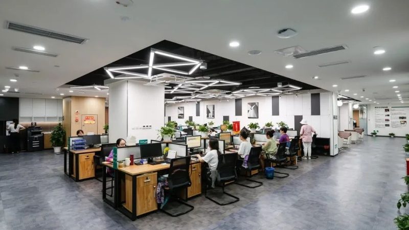 小标题：编程教育的兴起