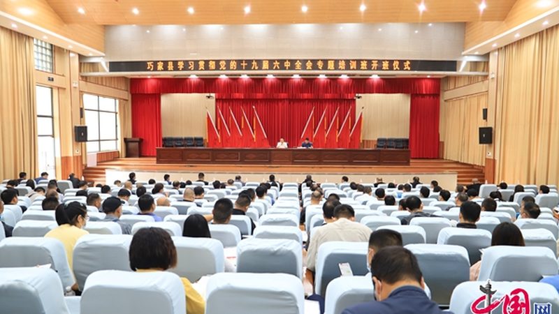 自考本科毕业论文：挑战与应对策略